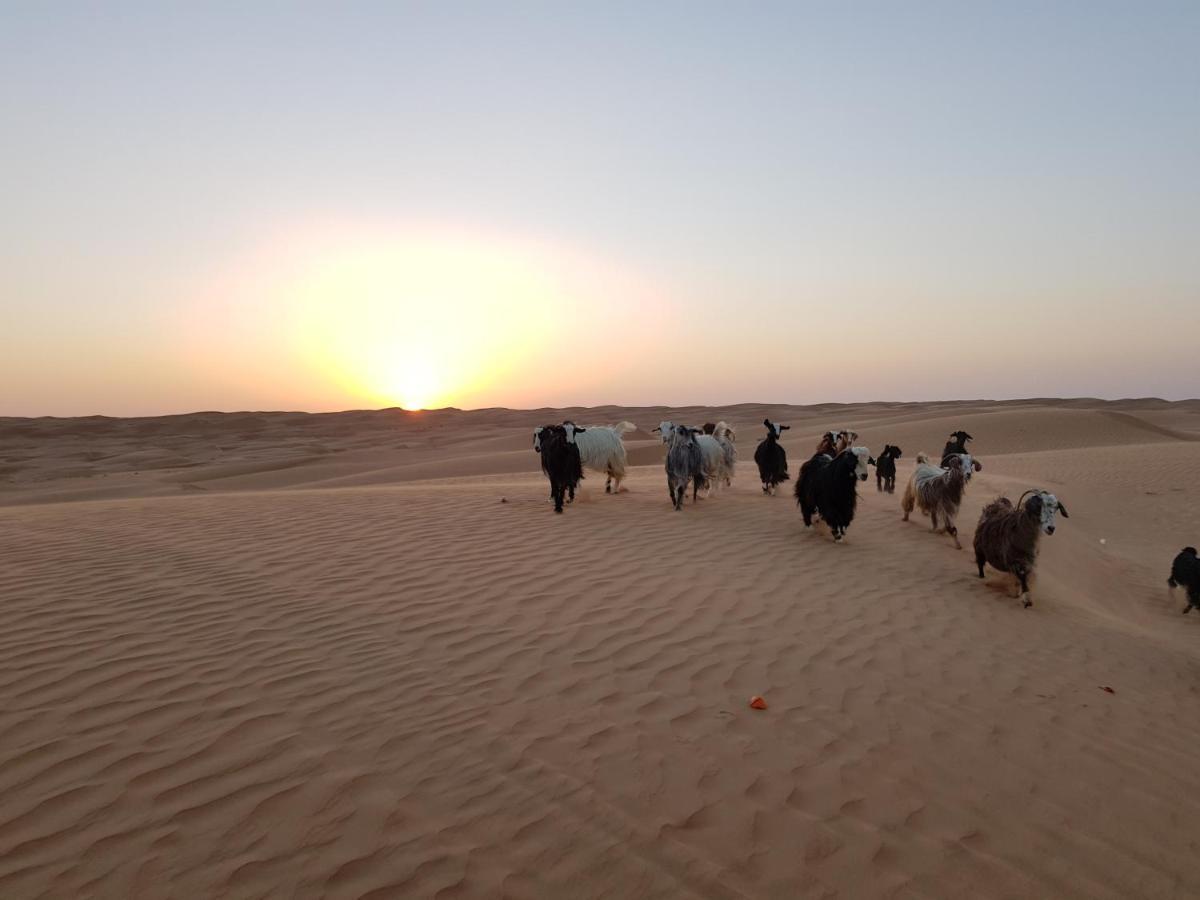 Private Bedouin Tent -Odpc Shahiq ภายนอก รูปภาพ