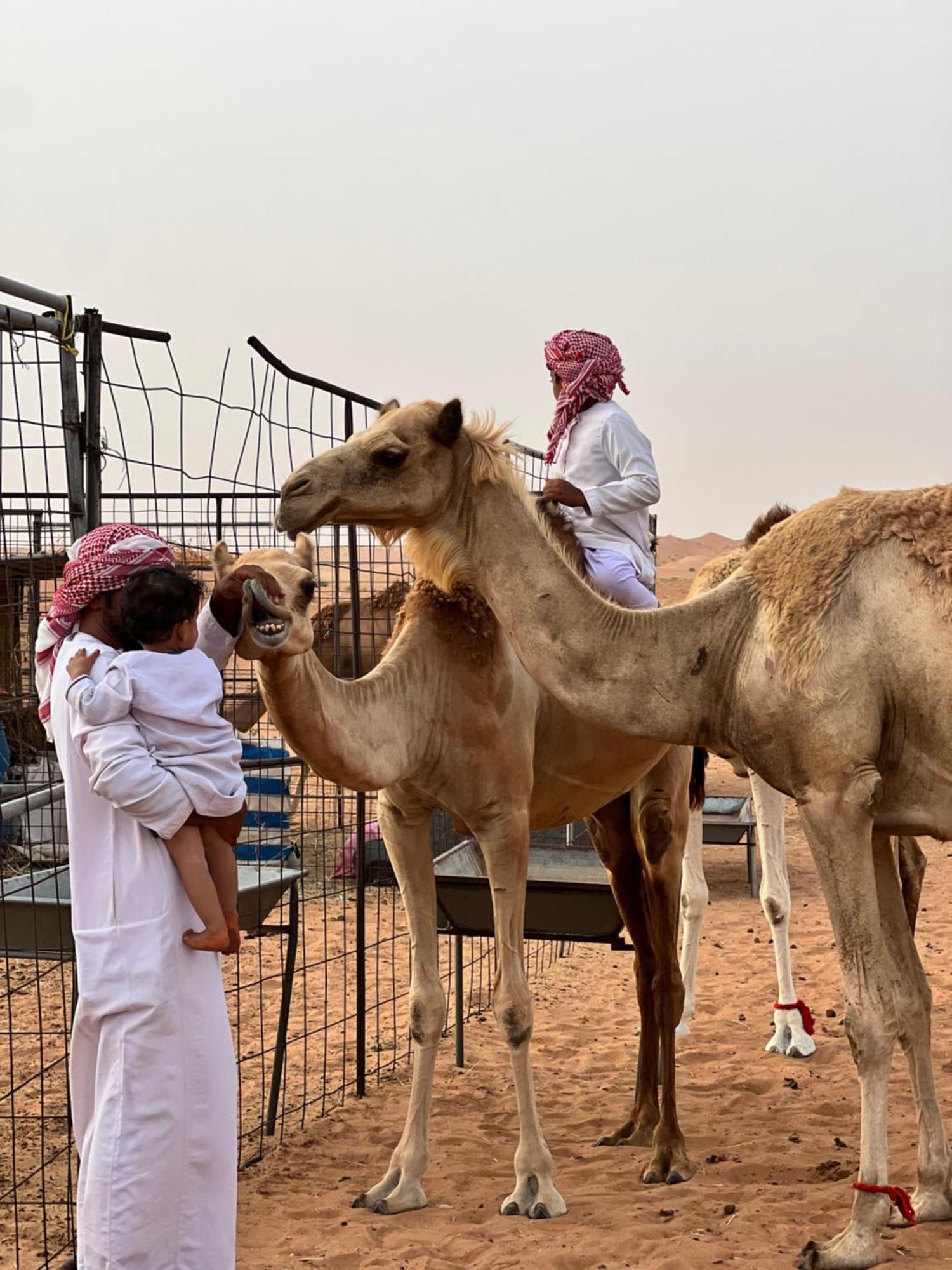 Private Bedouin Tent -Odpc Shahiq ภายนอก รูปภาพ